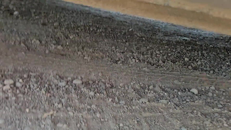 Nerdy_faery: Tocilară Faery se pișă