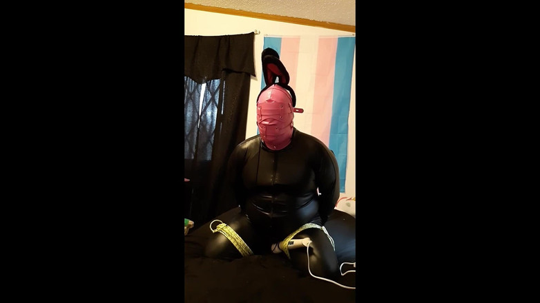 Roxxie rae page: Svazování zajíčka