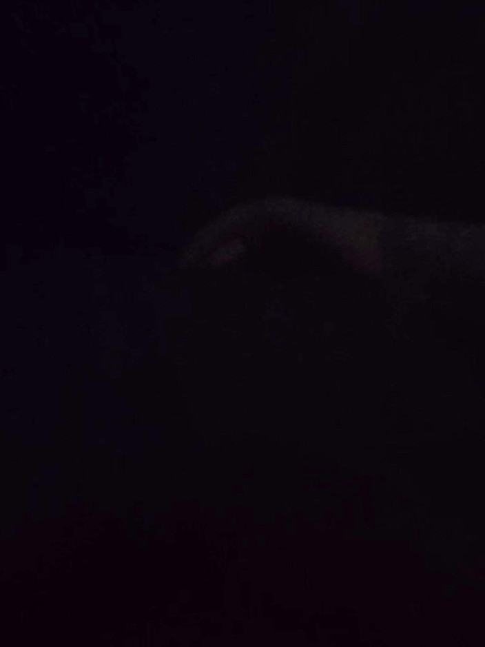 Tomsexkovi: Black Men Fuck You Wife Russian