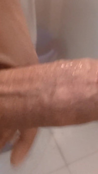 Moroccan Zeb