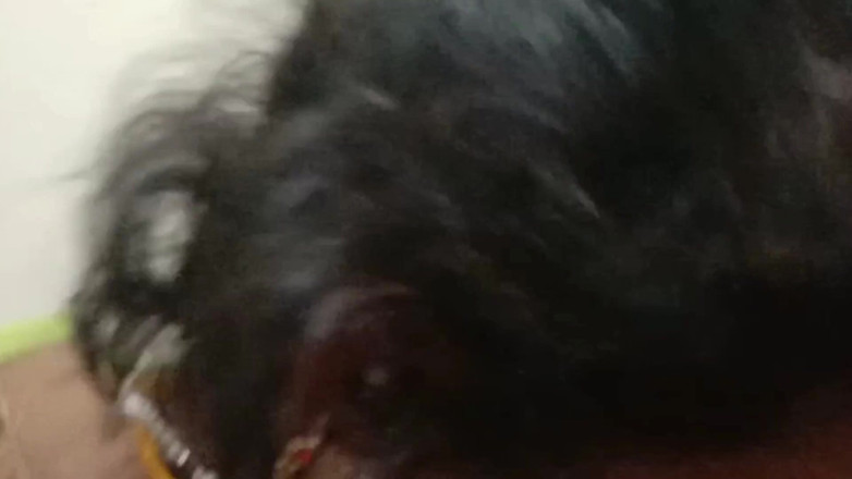 fullyloadedvid: Desi Village Stepaunty Sex in Toilet