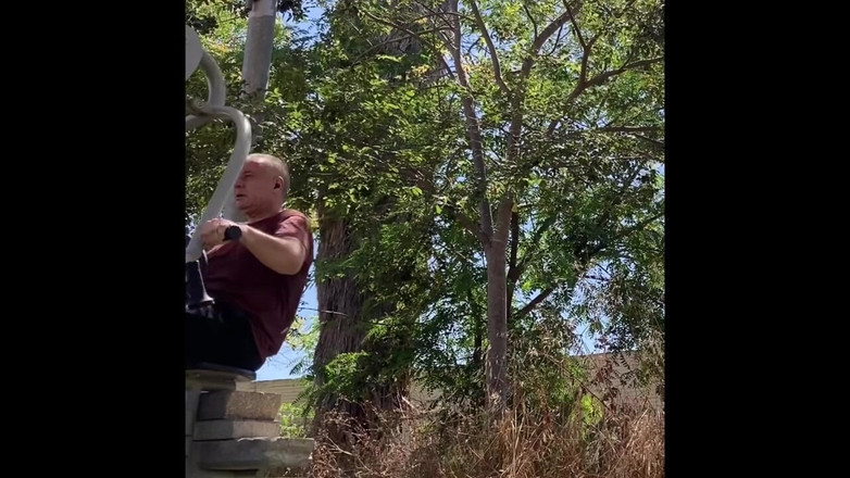 Alex Art: फिल्म764322