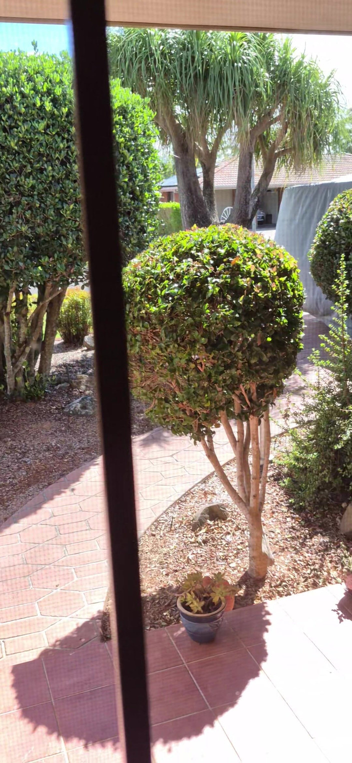 yogiyumyum: 正面玄関