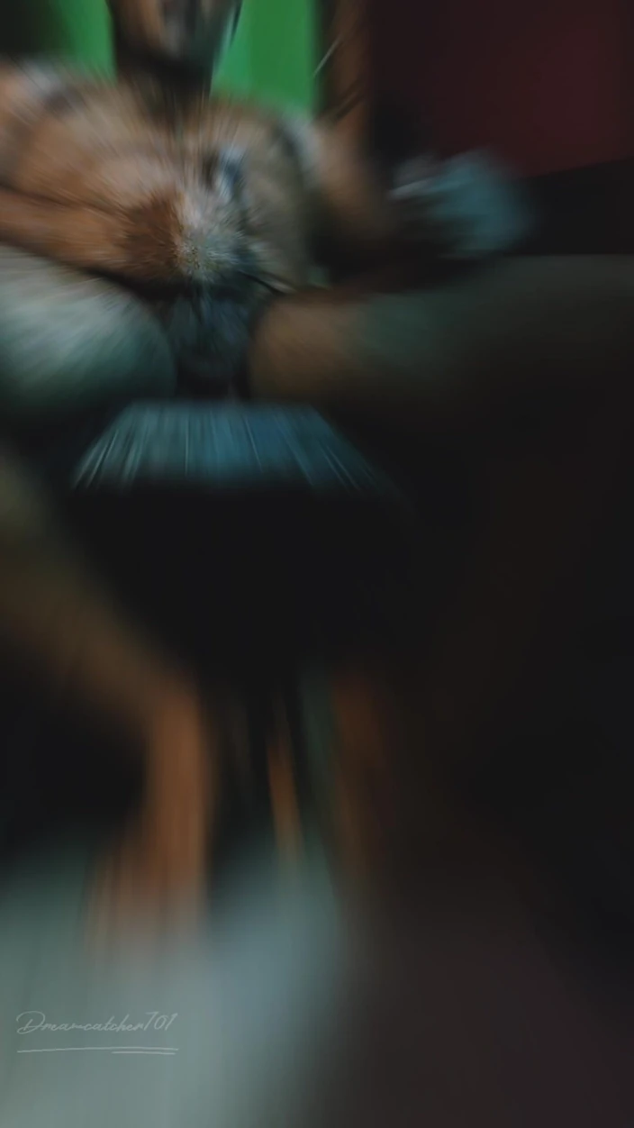 Bengali Boy Striped Show ft. Dreamcatcher701 by Dreamcatcher: Indian, Desi,  Man, Handjob, Big Cock Gay Porn | Faphouse