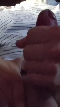Vòi Nước Và Kiêm