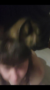Im Your Pet