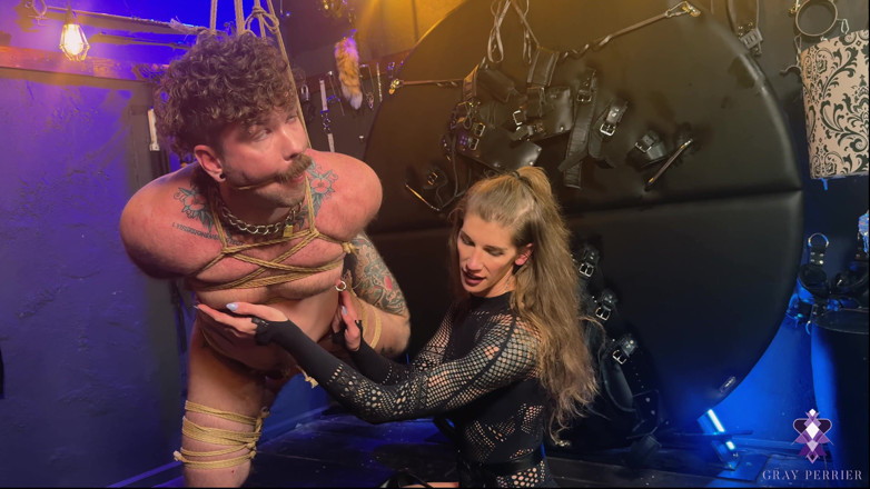 Gray Perrier: Suspendovaný, zbičovaný a vymrdaná Trans Domme oblečená kůží