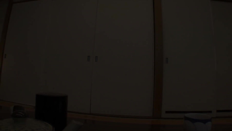 Vulture: Saeko Yokyoyama - Mi-am futut mama vitregă