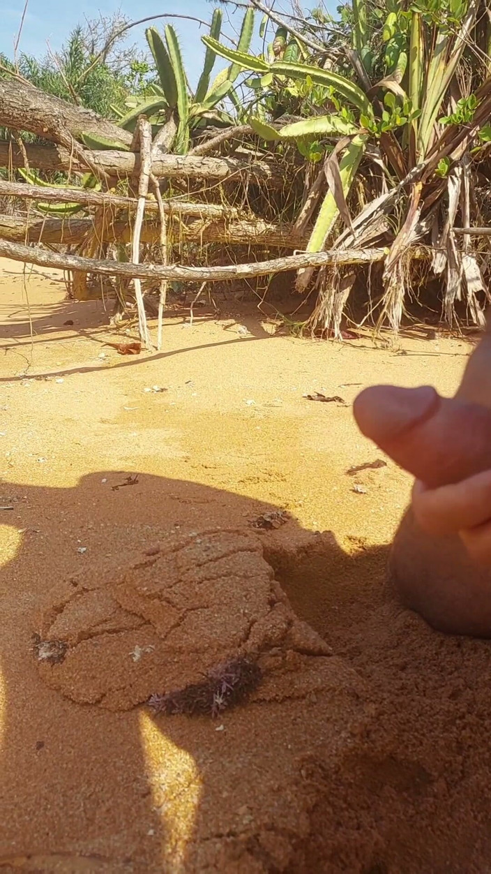 Ladysilvas: Ladysilva Masturbating His Cock on a Deserted Beach Until He...