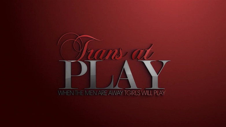 Trans 500: 看我玩梅兰尼尼