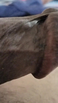 Batang hitam