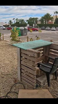 Valentine's Sex Attempt Outdoor