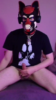 Kneeling Pup Strokes His Bone for You