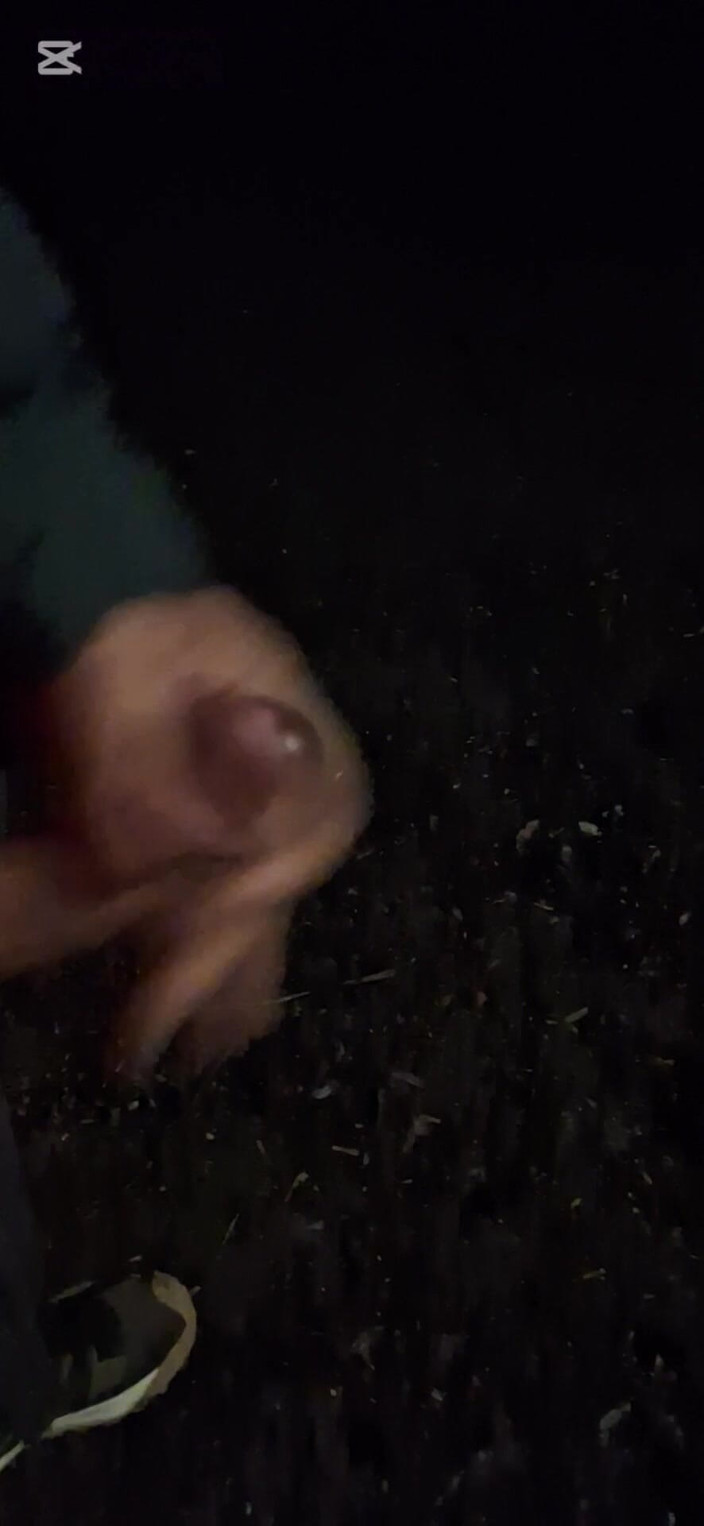 TimiTimy: Fuera del parque