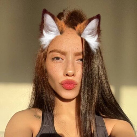 Faphouse