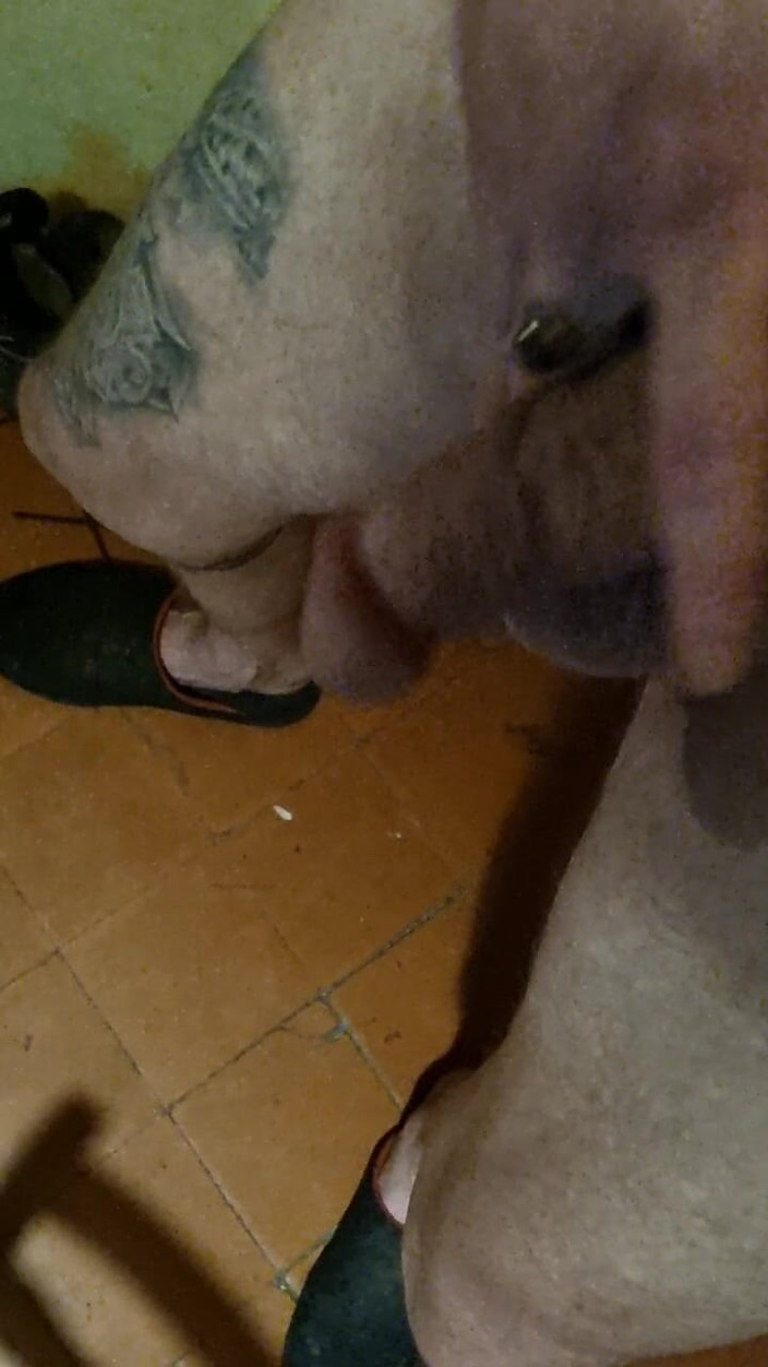 Mr sexhungry dick: 我的鸡巴和我跳舞的球