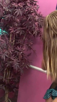 Miłosne trio z Claudia Rossi i Paige Ashley dwie dziwki z ogolonymi pochwy są zadowolone w cipki przez kutasa