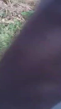 Panjabi Desi Boy Forest Outdoor Handjob