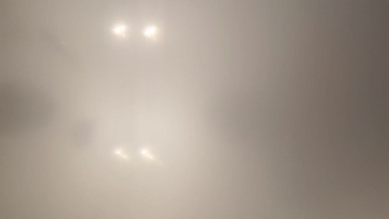 Skin and earth: Chubby Bear POV from Below. Grunting and Cumming on Your...