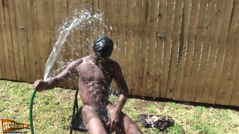 CocoDorm: Zvěrokruhu