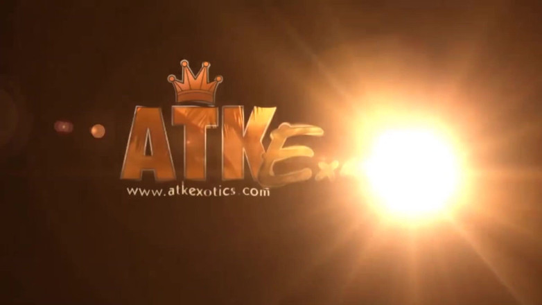ATK Exotics: 장난감 솔로