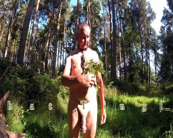 Andy: Nettle play in het bos