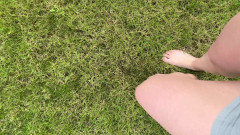 Feet: Berjalan Tanpa Alas Kaki Di Atas Rumput