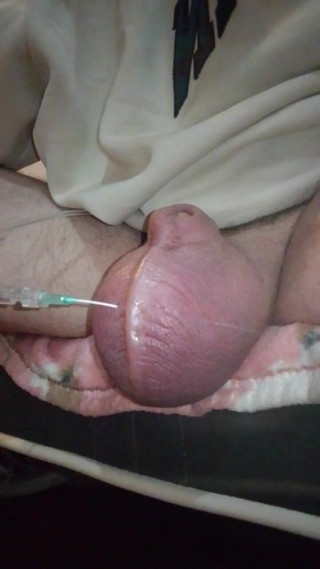 Ryan Honda: Dando al mio grapefruit una bella alimentazione