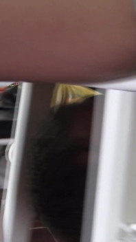 Madama Carla Sit on Guys Face on Facesitting Chair