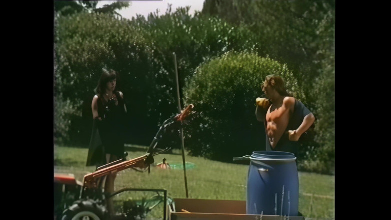 Vintage Megastore Full hd: Buitenshuis trio voor vintage neukers