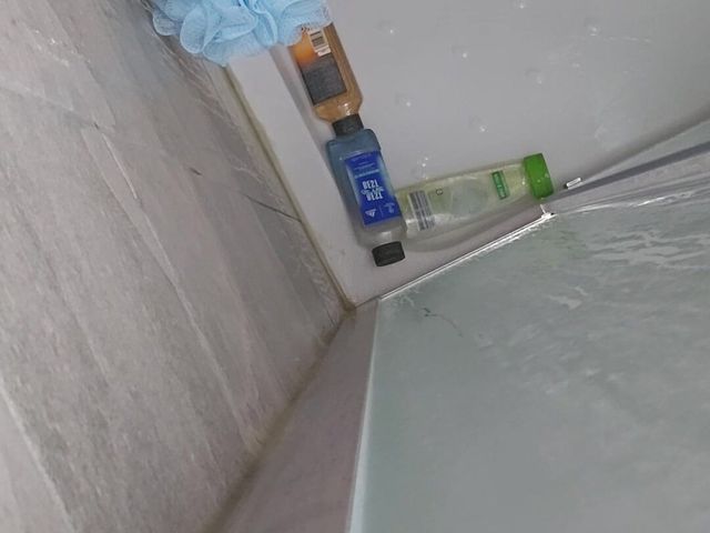 Chubby Teen Jerks off in Shower (Dustins)