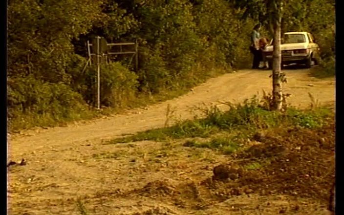 GERMAN PORN CLASSICS: Herzog 视频 Wiener 与 karin schubert 的饥渴 第 1 部分