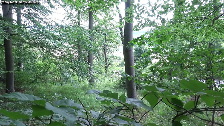 Tranny 4 cock: 在树林里使用的缠身变性荡妇