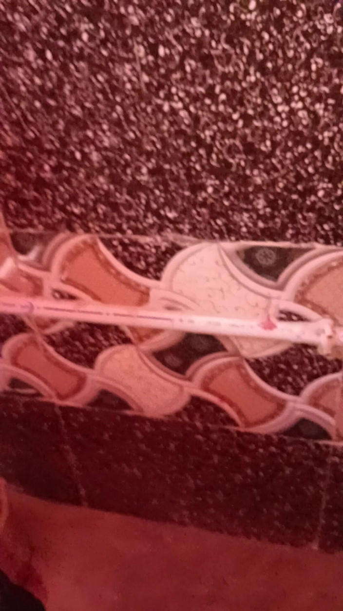 Darling_Shivani: Молодой паренек побрил член