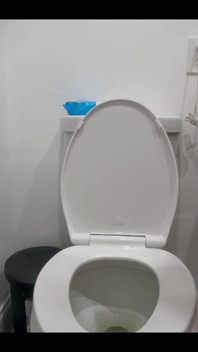 Peeing Backwards in the Toilet Today