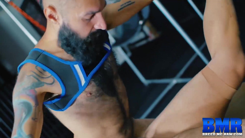Breed Me Raw: Breedmeraw - top xandrex tatuado preña bot sumiso