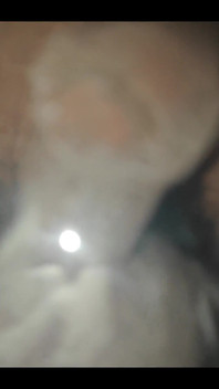 749771317682647040.mp4