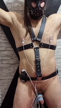 Electro sounding urethra stretch - con cu đau nhói trong nô lệ đau đớn