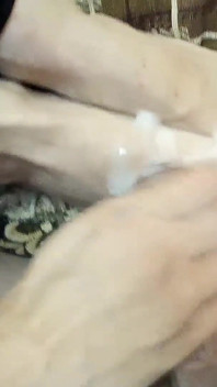 Fratele meu vitreg ejaculează pe picioarele mele! Videoclip real de acasă