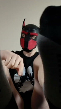 Playful Pup Tease Tickles Crotch Close