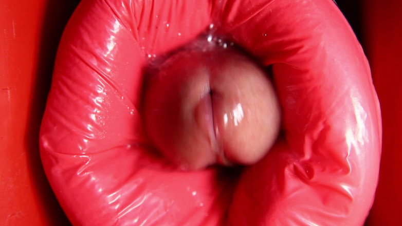 SEXY_GUYBEST: Dinosauří anál