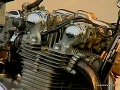 Phoenixxx: Sementales hinchados follan en el césped frontal