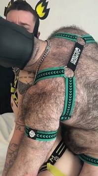Horny Pups Fucking