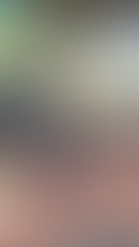 12 May 2026