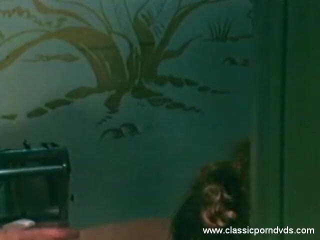 Classic Porn DVDs: Dvds lucah klasik: api blonde: bahagian 2