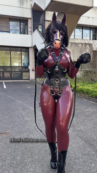 Latex Pony