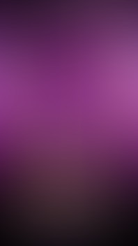 New Release - Belle Rose