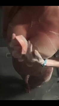 652133018982424576.mp4