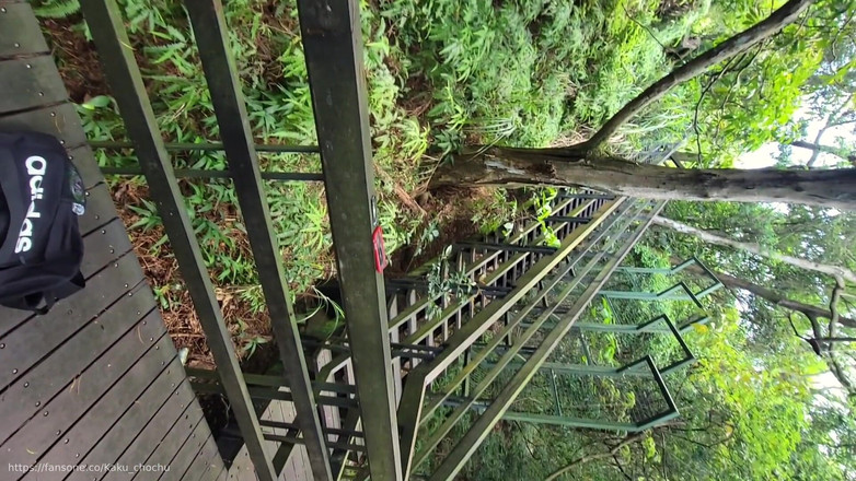 Calven: Viața deblochează tunuri sălbatice în munți