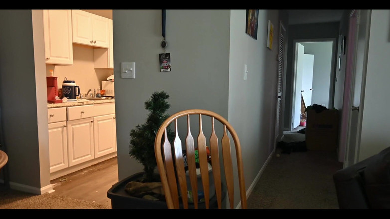 ElementX1018: घर पर अकेली